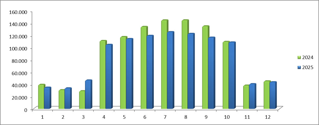 Statistiche 2025